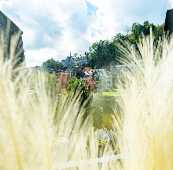 Le Comble Amoureux La-Roche-en-Ardenne Ngoại thất bức ảnh